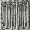The Ancients
